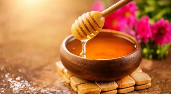 قیمت عسل چهل گیاه گلرنگ با کیفیت ارزان + خرید عمده